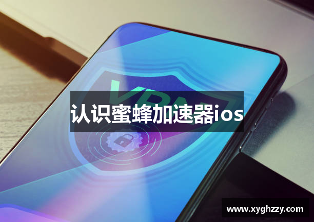 认识蜜蜂加速器ios